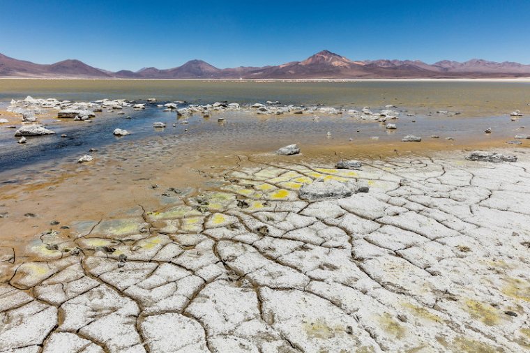 027 Salar de Surire.jpg